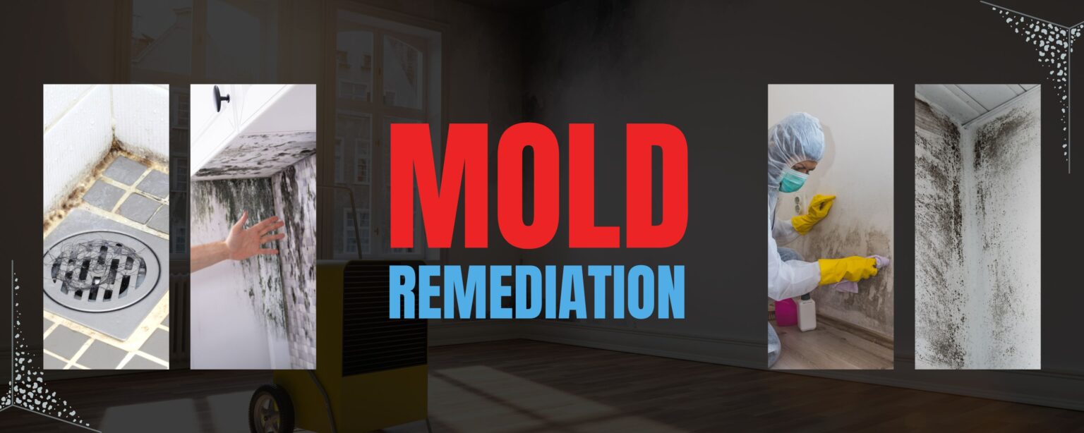 Restoreez Mold Inspection And Removal Process