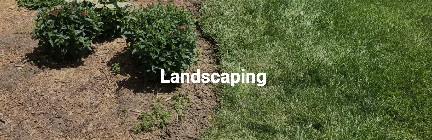 Quality and Professional Landscaping Services